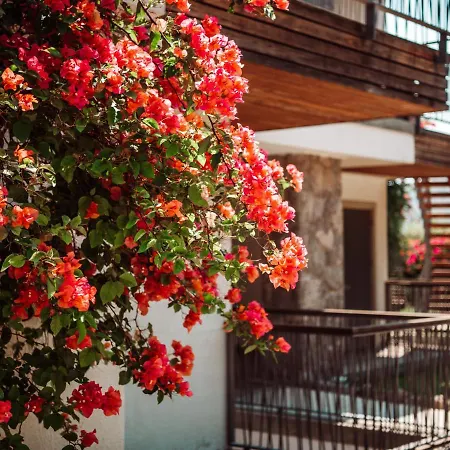 Costa Farilya Special Class Bodrum 4*