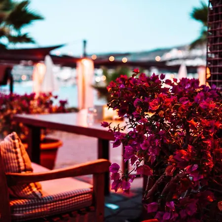 Costa Farilya Special Class Bodrum Hotel Gundogan (Bodrum)
