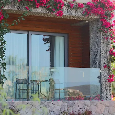 Hotel Costa Farilya Special Class Bodrum 4*