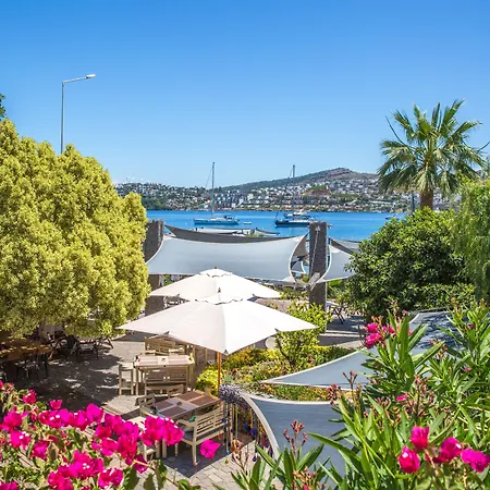 Costa Farilya Special Class Bodrum 5* 군도간