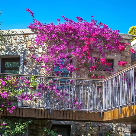 호텔 Costa Farilya Special Class Bodrum