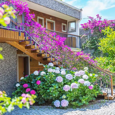 Costa Farilya Special Class Bodrum 5* Gundogan (Bodrum)