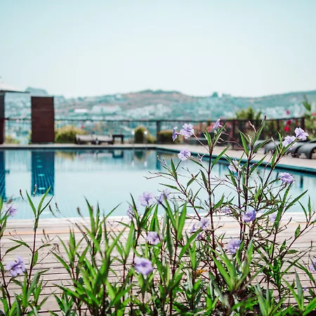 Costa Farilya Special Class Bodrum Hotel