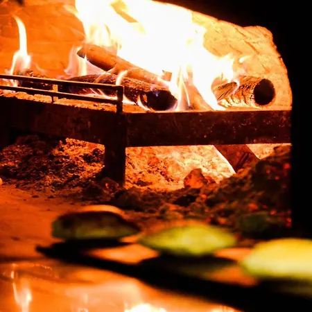 Costa Farilya Special Class Bodrum 군도간