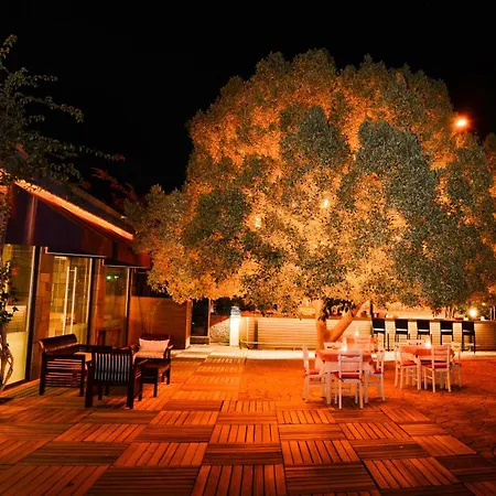 Costa Farilya Special Class Bodrum Hotell 5*