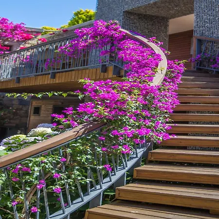 Costa Farilya Special Class Bodrum