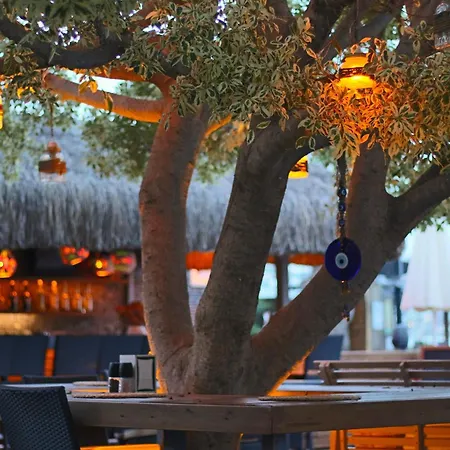 Costa Farilya Special Class Bodrum 호텔 군도간