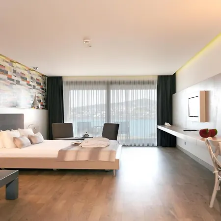 Costa Farilya Special Class Bodrum 호텔