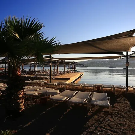 Отель Costa Farilya Special Class Bodrum 4*