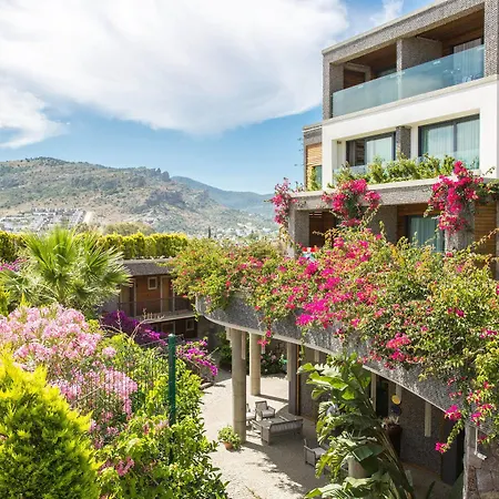 Costa Farilya Special Class Bodrum 4* Gundogan (Bodrum)