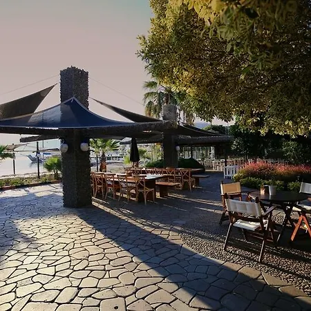 Отель Costa Farilya Special Class Bodrum 4*