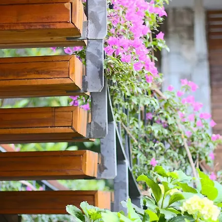 Hotel Costa Farilya Special Class Bodrum 4*