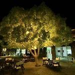 Costa Farilya Special Class Bodrum Gündoğan