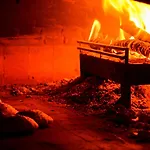 Costa Farilya Special Class Bodrum 호텔