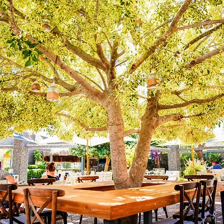 博德鲁姆哥斯达法立雅特级酒店 5*