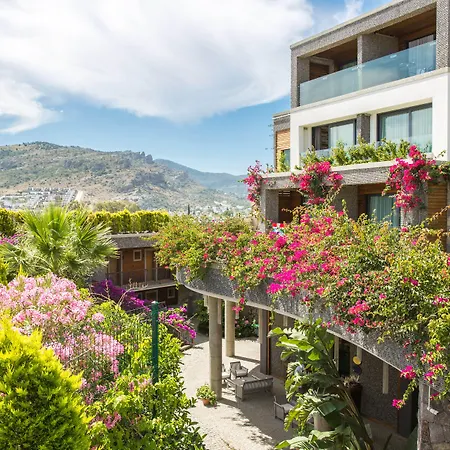 酒店 博德鲁姆哥斯达法立雅特级酒店