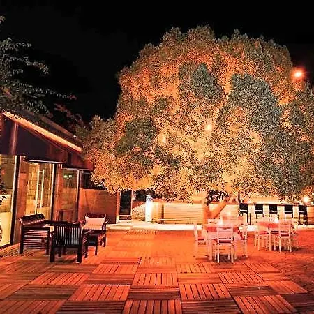 Costa Farilya Special Class Bodrum Gundogan (Bodrum)