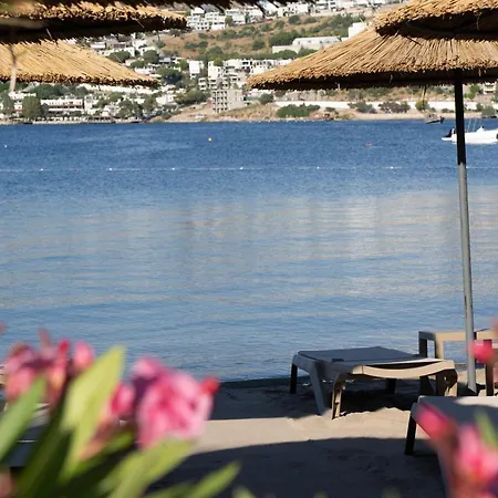 Costa Farilya Special Class Bodrum