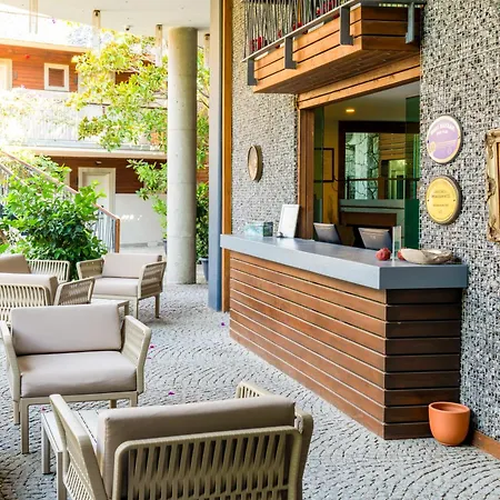 Costa Farilya Special Class Bodrum