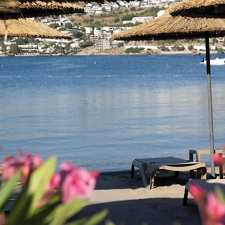 Costa Farilya Special Class Bodrum Gundogan (Bodrum)
