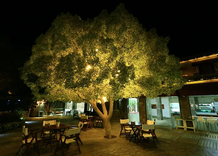 Costa Farilya Special Class Bodrum גונדוגן