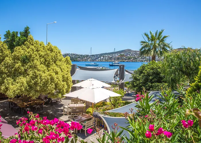 Costa Farilya Special Class Bodrum 5* Гюндоган