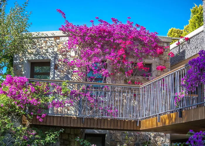 מלון Costa Farilya Special Class Bodrum