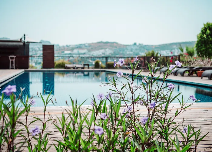 Costa Farilya Special Class Bodrum Отель